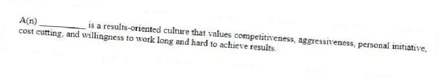 A(n) __________ is a results-oriented culture that values competitiveness, aggressiveness, personal initiative, cost cutting, and willingness to work long and hard to achieve results.