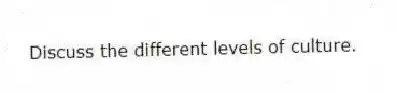 Discuss the different levels of culture.