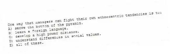 One way that managers can fight their own ethnocentric tendencies is to:
A) serve the bottom of the pyramid.
B) learn a foreign language.
C) develop a high power distance.
D) understand differences in social values.
E) all of these.