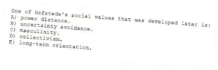 One of Hofstede's social values that was developed later is:
A) power distance.
B) uncertainty avoidance.
C) masculinity.
D) collectivism.
E) long-term orientation.