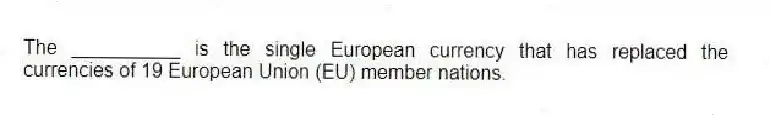 The __________ is the single European currency that has replaced the currencies of 19 European Union (EU) member nations.