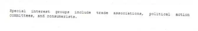 Special interest groups include trade associations, political action committees, and consumerists.