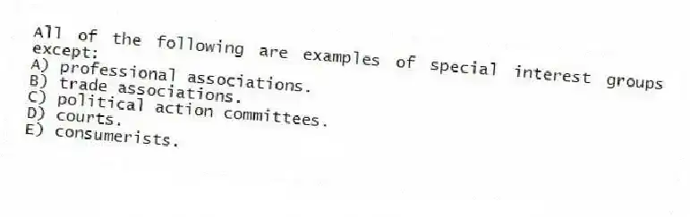 All of the following are examples of special interest groups except:
A) professional associations.
B) trade associations.
C) political action committees.
D) courts.
E) consumerists.