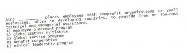A(n) __________ places employees with nonprofit organizations or small businesses, often in developing countries, to provide free or low-cost technical and managerial assistance.
A) employee placement program
B) globalization initiative
C) global service program
D) benefit corporation
E) ethical leadership program