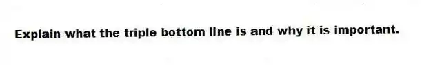Explain what the triple bottom line is and why it is important.