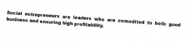 Social entrepreneurs are leaders who are committed to both good business and ensuring high profitability.
