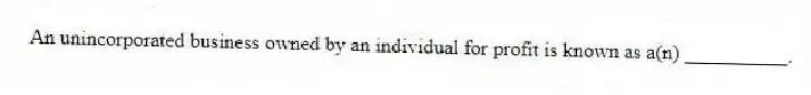An unincorporated business owned by an individual for profit is known as a(n) __________.