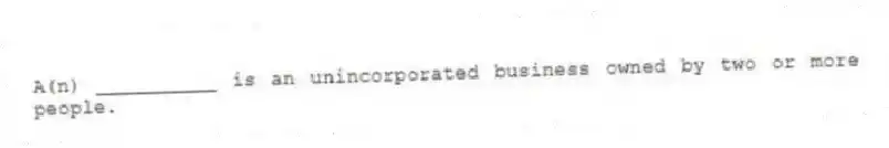 A(n) __________ is an unincorporated business owned by two or more people.