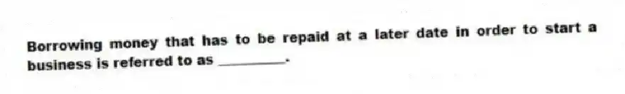 Borrowing money that has to be repaid at a later date in order to start a business is referred to as __________.