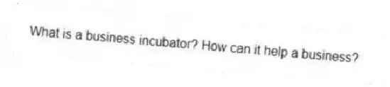 What is a business incubator? How can it help a business?