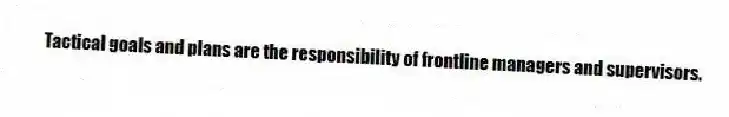 Tactical goals and plans are the responsibility of frontline managers and supervisors.