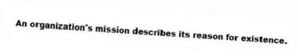 An organization's mission describes its reason for existence.