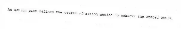 An action plan defines the course of action needed to achieve the stated goals.