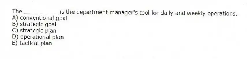 The __________ is the department manager's tool for daily and weekly operations.
A) conventional goal
B) strategic goal
C) strategic plan
D) operational plan
E) tactical plan
