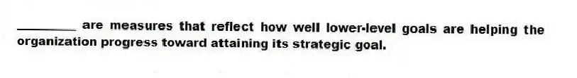 __________ are measures that reflect how well lower-level goals are helping the organization progress toward attaining its strategic goal.