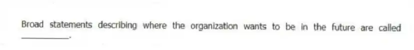 Broad statements describing where the organization wants to be in the future are called __________.