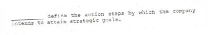__________ define the action steps by which the company intends to attain strategic goals.