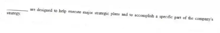 __________ are designed to help execute major strategic plans and to accomplish a specific part of the company's strategy.