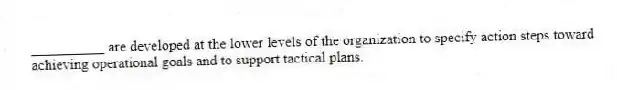__________ are developed at the lower levels of the organization to specify action steps toward achieving operational goals and to support tactical plans.