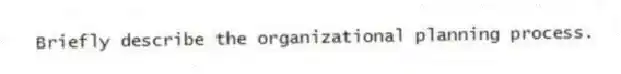 Briefly describe the organizational planning process.