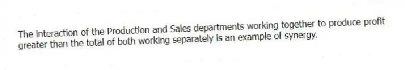 The interaction of the Production and Sales departments working together to produce profit greater than the total of both working separately is an example of synergy.