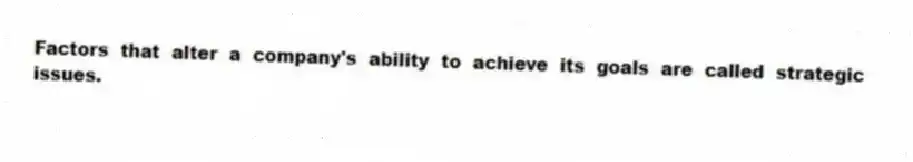 Factors that alter a company's ability to achieve its goals are called strategic issues.