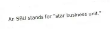 An SBU stands for "star business unit."