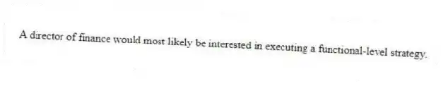 A director of finance would most likely be interested in executing a functional-level strategy.