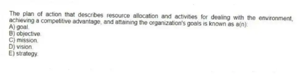 The plan of action that describes resource allocation and activities for dealing with the environment, achieving a competitive advantage, and attaining the organization's goals is known as a(n):
A) goal.
B) objective.
C) mission.
D) vision.
E) strategy.