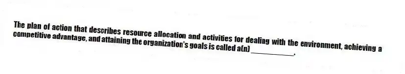 The plan of action that describes resource allocation and activities for dealing with the environment, achieving a competitive advantage, and attaining the organization's goals is called a(n) __________.