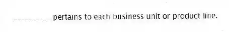 __________ pertains to each business unit or product line.