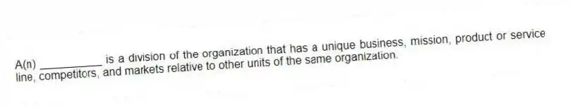 A(n) __________ is a division of the organization that has a unique business, mission, product or service line, competitors, and markets relative to other units of the same organization.