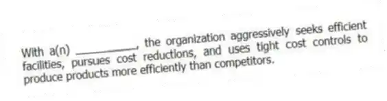 With a(n) __________, the organization aggressively seeks efficient facilities, pursues cost reductions, and uses tight cost controls to produce products more efficiently than competitors.