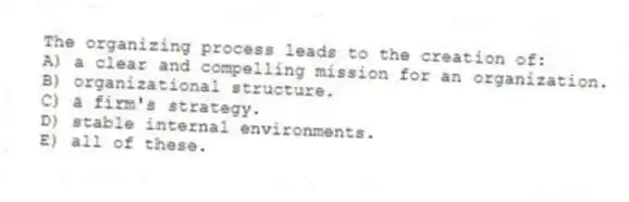 The organizing process leads to the creation of:
A) a clear and compelling mission for an organization.
B) organizational structure.
C) a firm's strategy.
D) stable internal environments.
E) all of these.