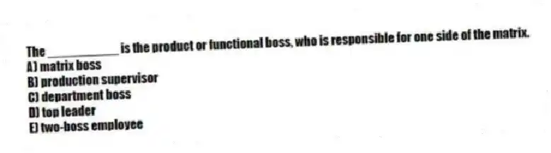 The __________ is the product or functional boss, who is responsible for one side of the matrix.
A) matrix boss
B) production supervisor
C) department boss
D) top leader
E) two-boss employee