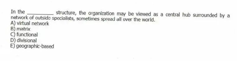 In the __________ structure, the organization may be viewed as a central hub surrounded by a network of outside specialists, sometimes spread all over the world.
A) virtual network
B) matrix
C) functional
D) divisional
E) geographic-based