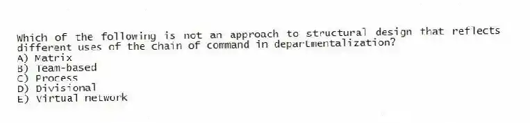 Which of the following is not an approach to structural design that reflects different uses of the chain of command in departmentalization?
A) Matrix
B) Team-based
C) Process
D) Divisional
E) Virtual network