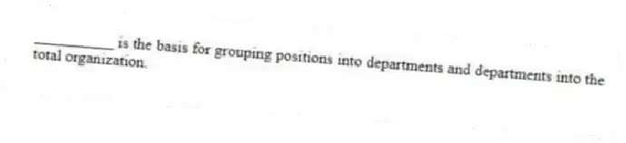 __________ is the basis for grouping positions into departments and departments into the total organization.