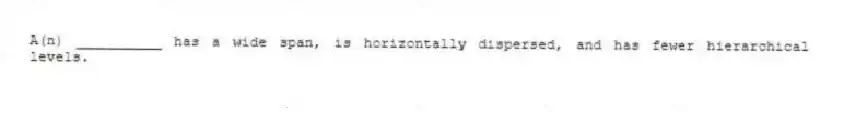 A(n) __________ has a wide span, is horizontally dispersed, and has fewer hierarchical levels.