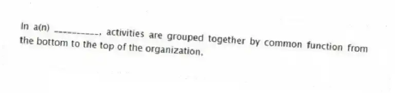 In a(n) __________, activities are grouped together by common function from the bottom to the top of the organization.