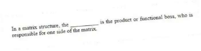 In a matrix structure, the __________ is the product or functional boss, who is responsible for one side of the matrix.
