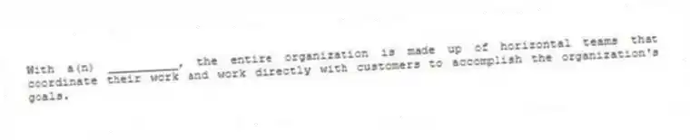 With a(n) __________, the entire organization is made up of horizontal teams that coordinate their work and work directly with customers to accomplish the organization's goals.
