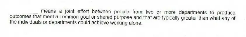 __________ means a joint effort between people from two or more departments to produce outcomes that meet a common goal or shared purpose and that are typically greater than what any of the individuals or departments could achieve working alone.
