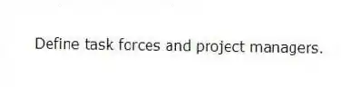 Define task forces and project managers.