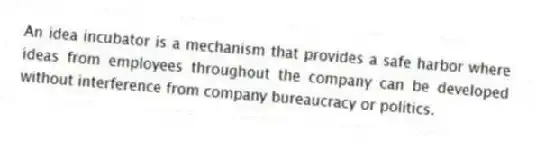 An idea incubator is a mechanism that provides a safe harbor where ideas from employees throughout the company can be developed without interference from company bureaucracy or politics.