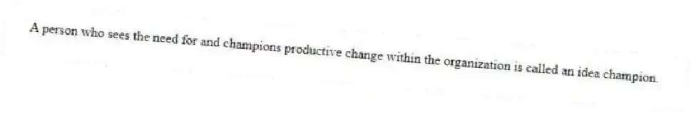 A person who sees the need for and champions productive change within the organization is called an idea champion.