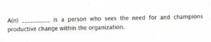 A(n) __________ is a person who sees the need for and champions productive change within the organization.