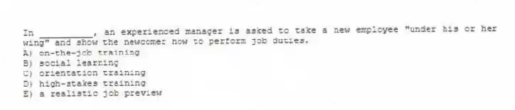 In __________, an experienced manager is asked to take a new employee "under his or her wing" and show the newcomer how to perform job duties.
A) on-the-job training
B) social learning
C) orientation training
D) high-stakes training
E) a realistic job preview