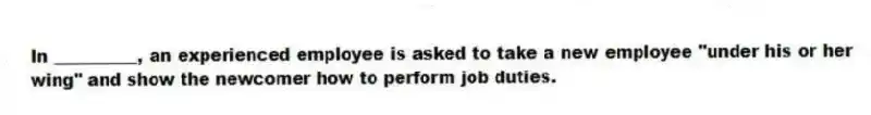In __________, an experienced employee is asked to take a new employee "under his or her wing" and show the newcomer how to perform job duties.