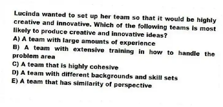 Lucinda wanted to set up her team so that it would be highly creative and innovative. Which of the following teams is most likely to produce creative and innovative ideas?
A) A team with large amounts of experience
B) A team with extensive training in how to handle the problem area
C) A team that is highly cohesive
D) A team with different backgrounds and skill sets
E) A team that has similarity of perspective